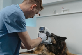 İzmir Veteriner (9)