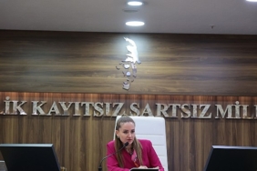 Başkan Vekili Özdemir’den Altıntaş açıklaması