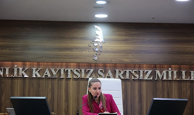 Başkan Vekili Özdemir’den Altıntaş açıklaması