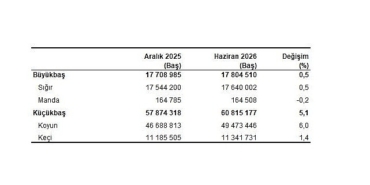 Hayvancılık İstatistikleri, Haziran 2026