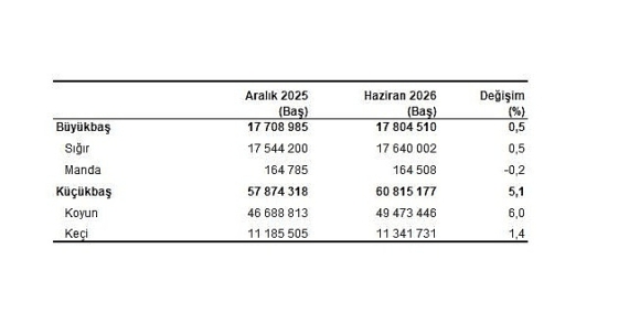 Hayvancılık İstatistikleri, Haziran 2026