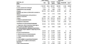 Sektör Bilançoları, 2025
