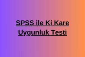 spss ki kare analizi (1)