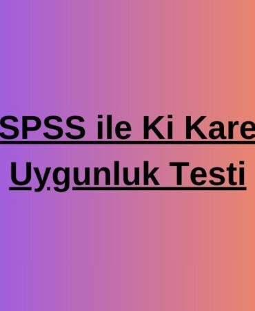 spss ki kare analizi (1)