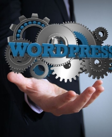 wordpess uzmanı (1)