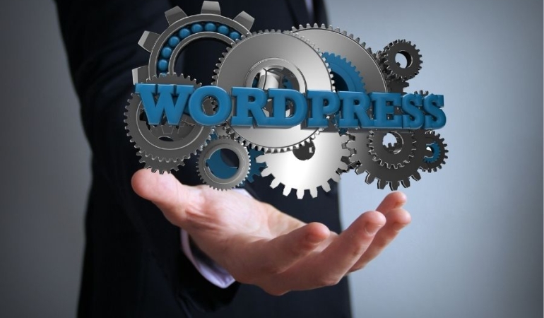 wordpess uzmanı (1)