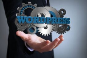 wordpress ajansı (13)