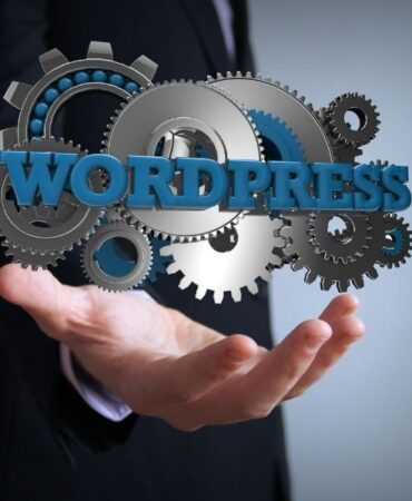 wordpress ajansı (13)